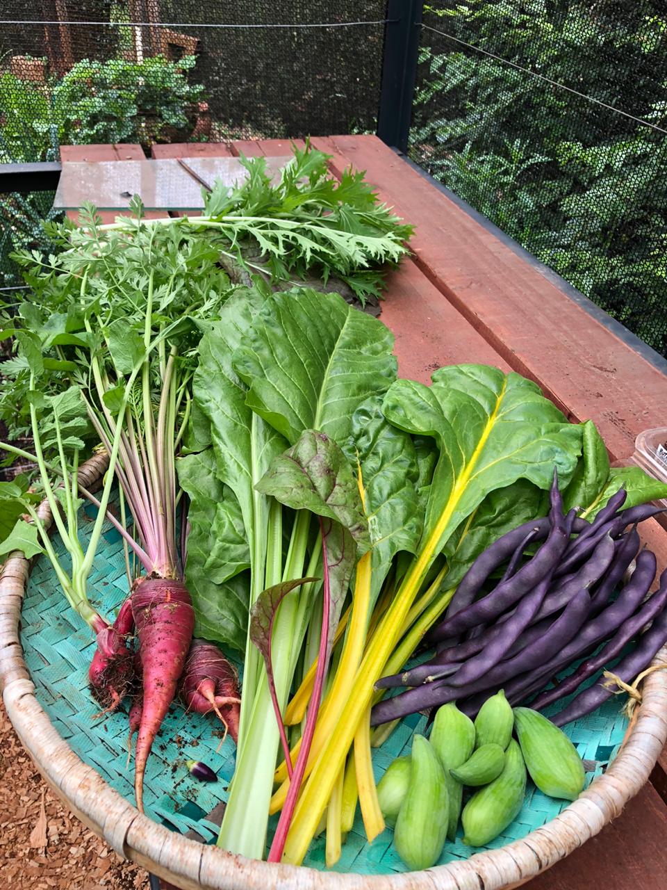 Food From Growhouse Living Machines