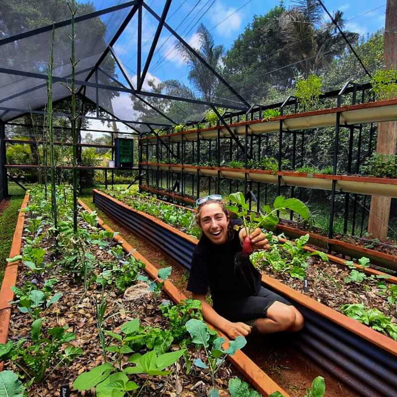 Growhouse Living Machines